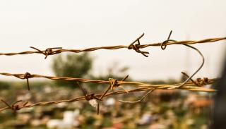 Barbed wire